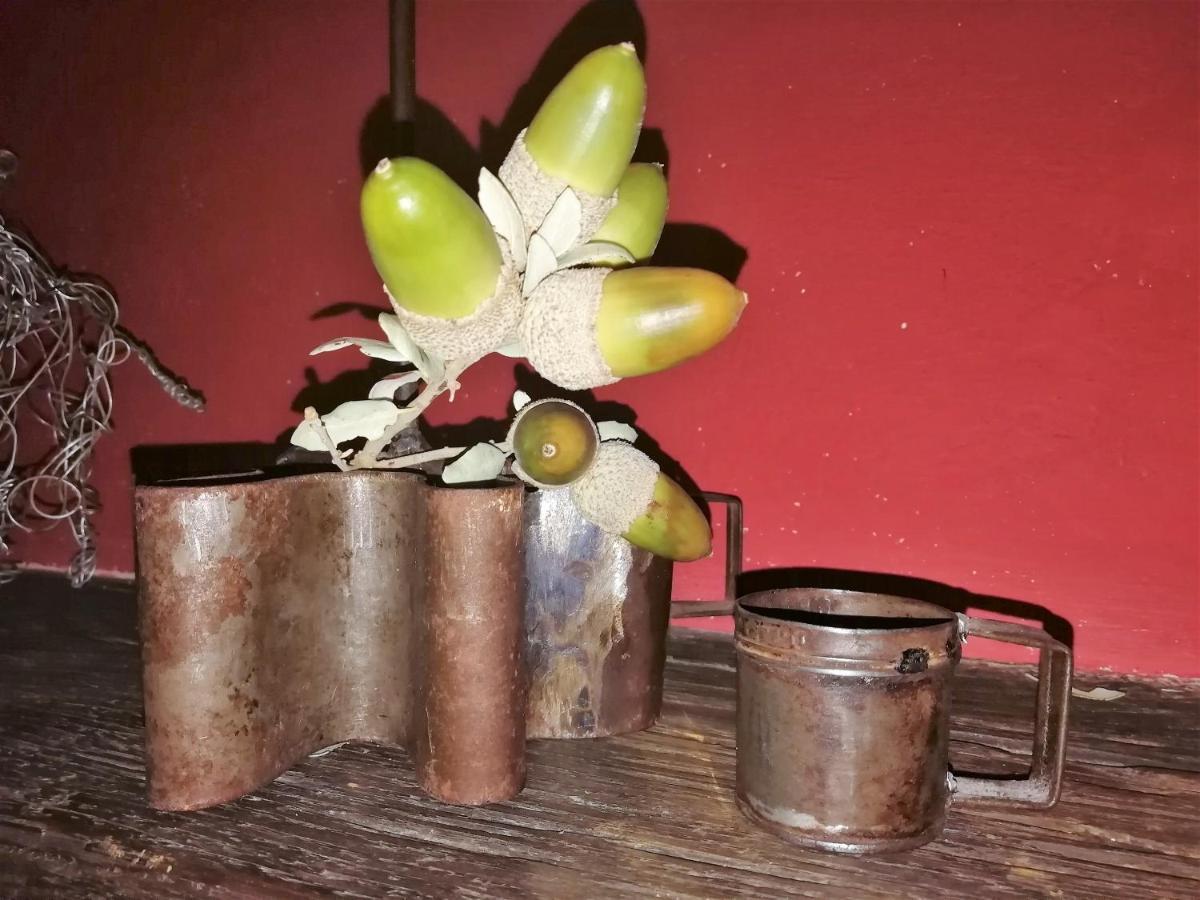 Casa Rural Abuela Maxi Риолобос Экстерьер фото
